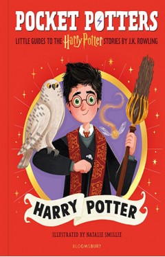 Harry Potter Book 2 Pocket Potters
